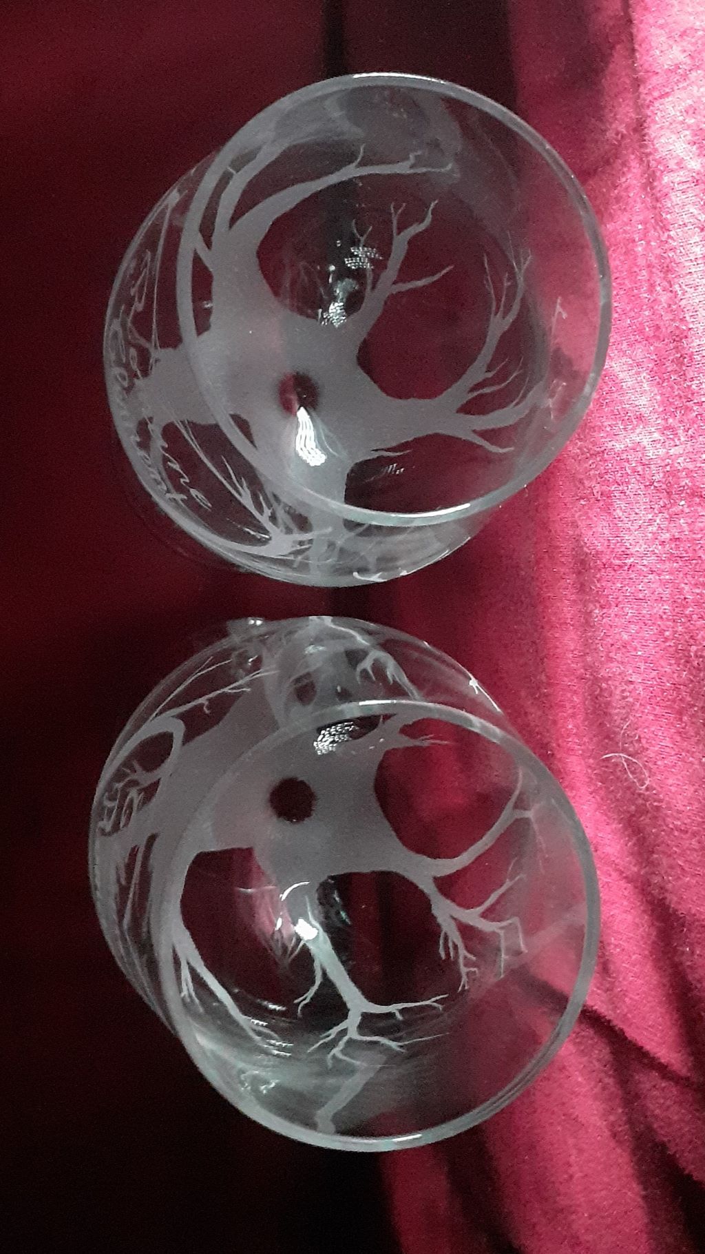 arbre de vie gravure sur verre